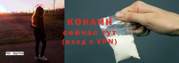 твердый Верея