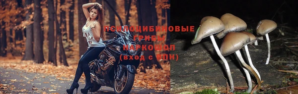дурь Верхнеуральск