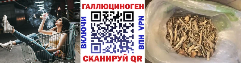 купить наркотик  Балаково  Псилоцибиновые грибы прущие грибы 